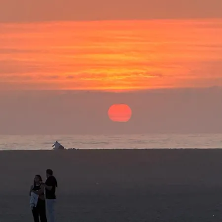 Porto Artemis Flat 公寓 加亚新城