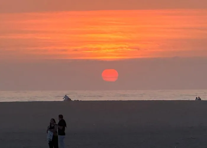 Porto Artemis Flat 公寓 加亚新城